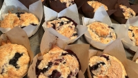 Lemon Blueberry Muffins fresh from the oven