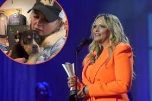 Miranda Lambert launches animal relief fund