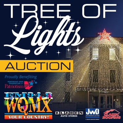 Tree of Lights 2023 Auction
